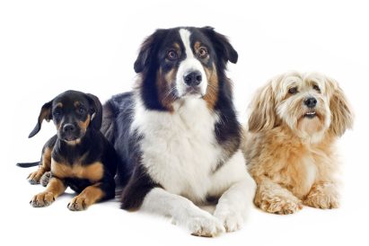 article image - 